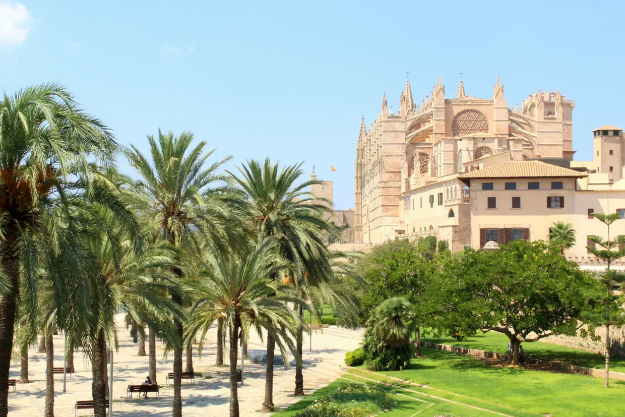 🌴 Tavaszi napsütés Mallorcán
