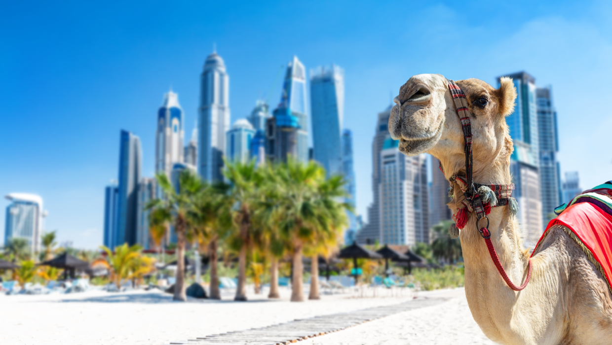 Nyaralás a luxus fővárosában, Dubajban 🇦🇪