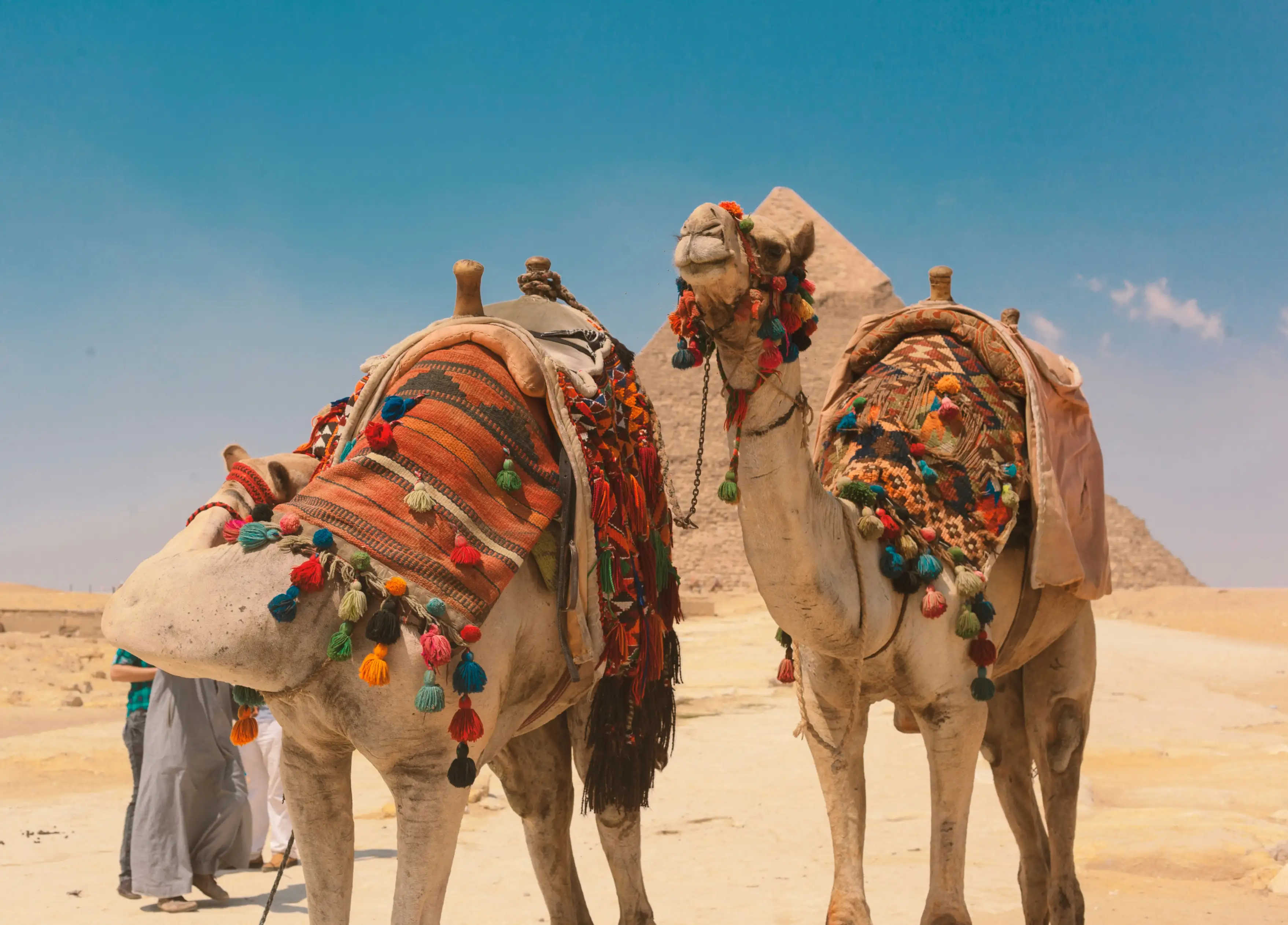 Télből a nyárba! 5 nap Gízában 🐪